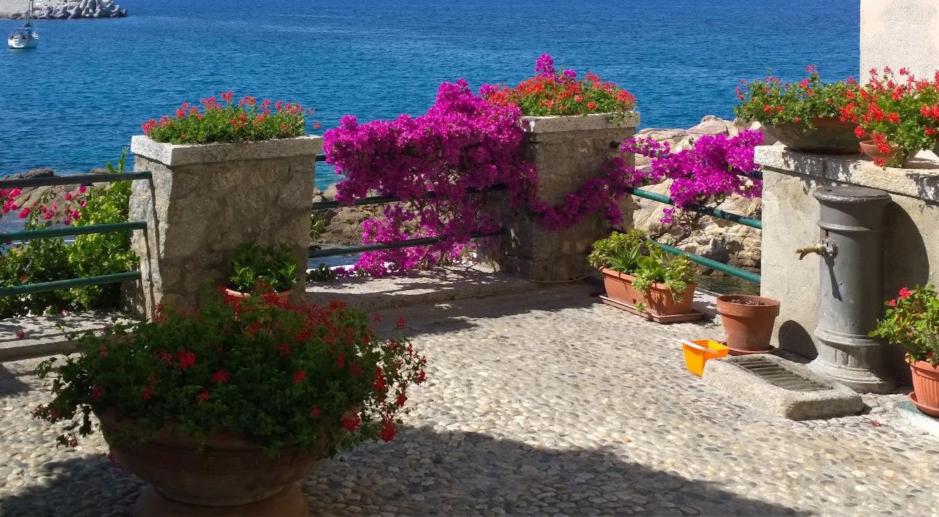 bilocale Marciana Marina